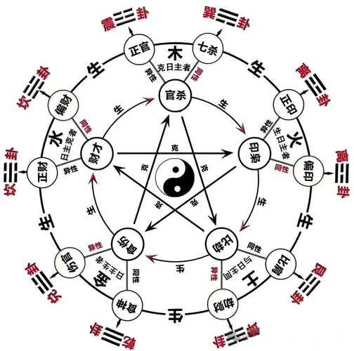 潘昭佑四柱快速入门带字幕，视频教程